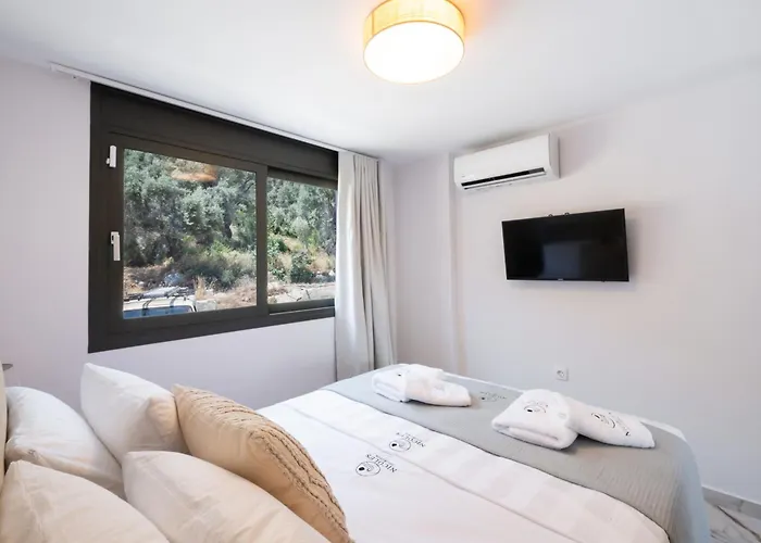 Nicole's Collection *